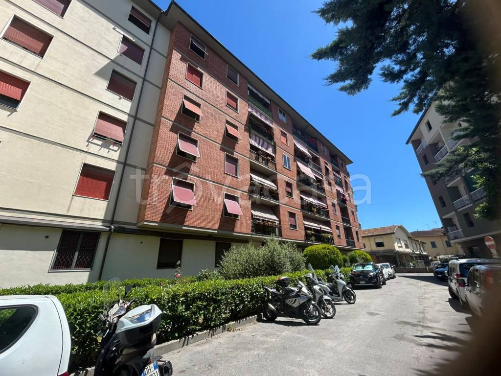 immagine annuncio 2 di 12