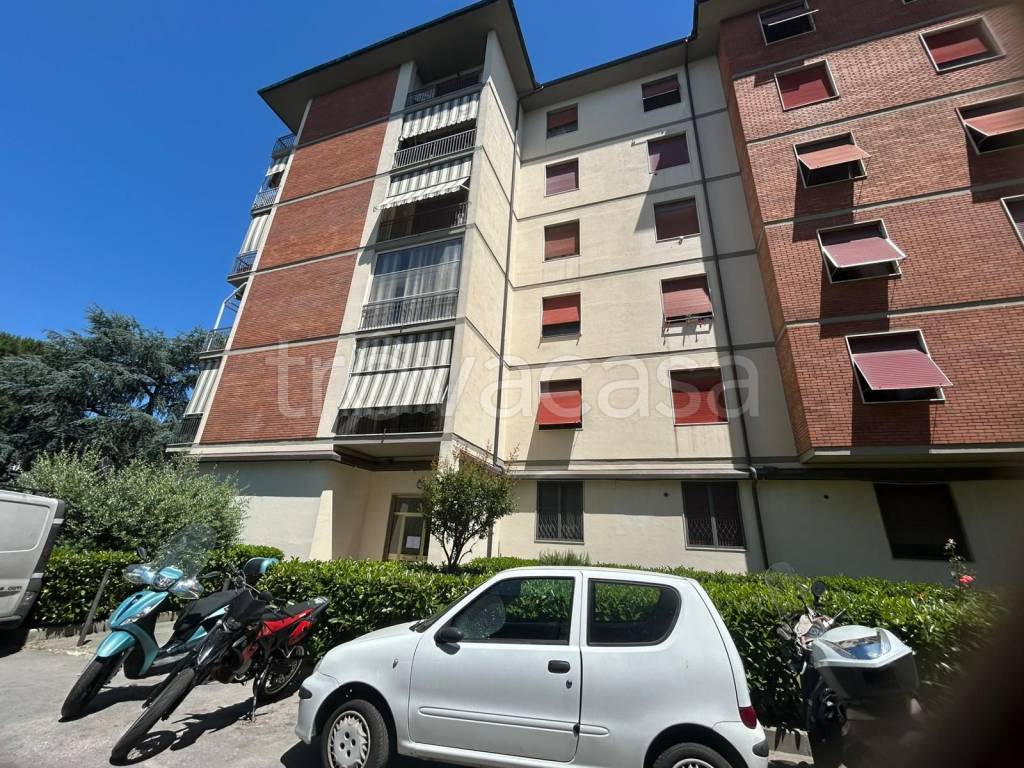 immagine annuncio 5 di 12