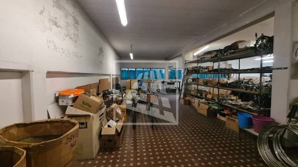 immagine annuncio 7 di 14