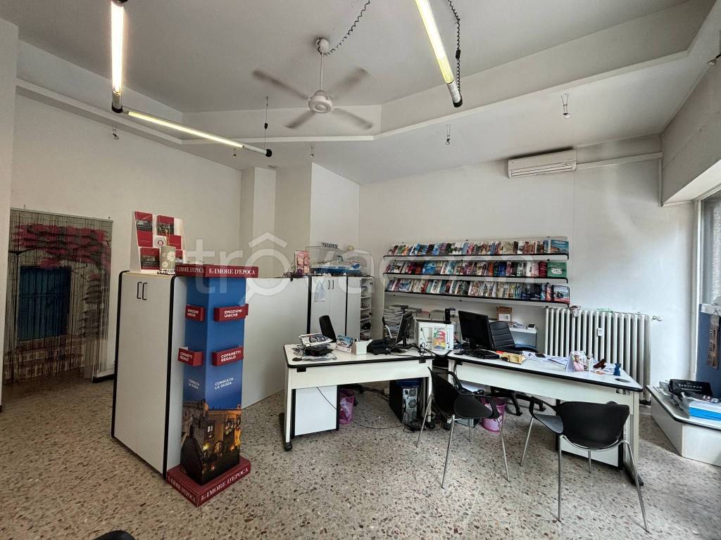 immagine annuncio 3 di 14
