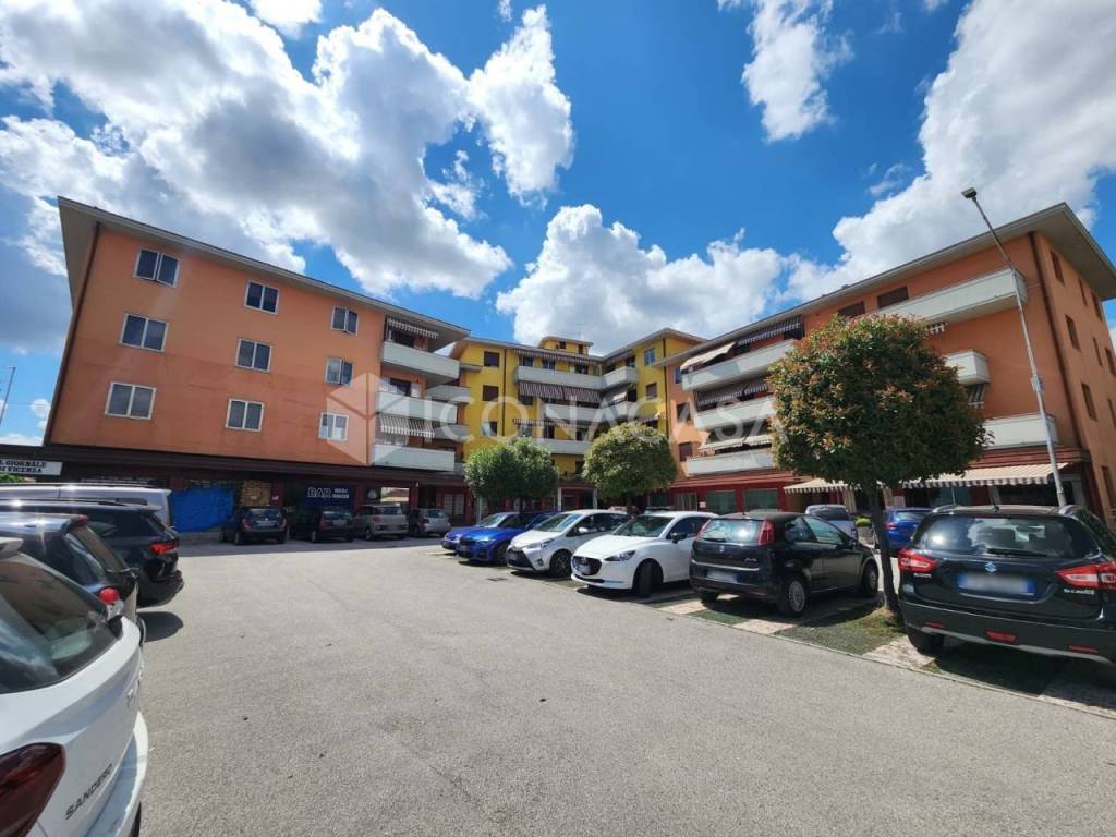 immagine annuncio 11 di 12