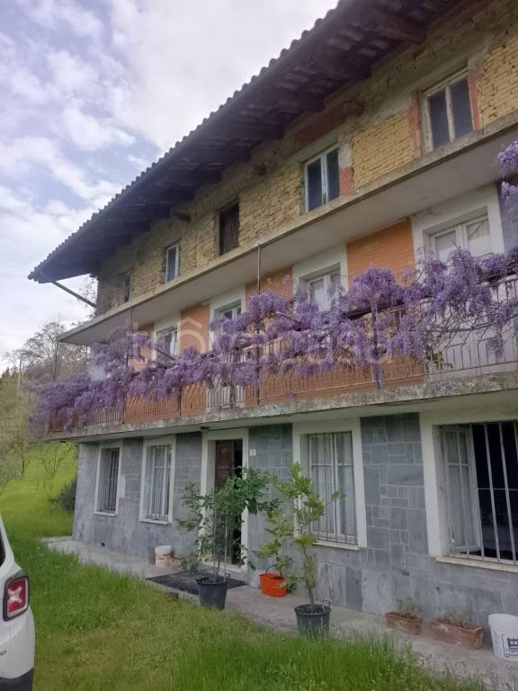 immagine annuncio 8 di 13