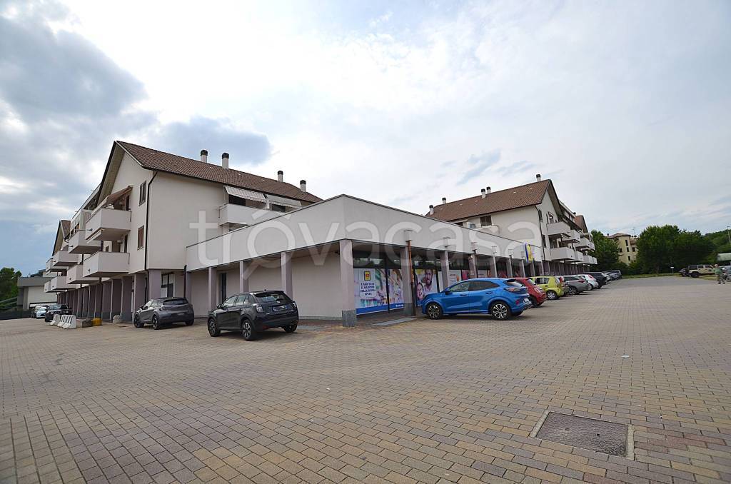 immagine annuncio 8 di 11