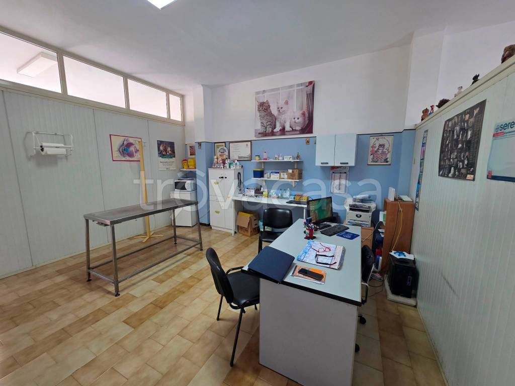 immagine annuncio 9 di 14