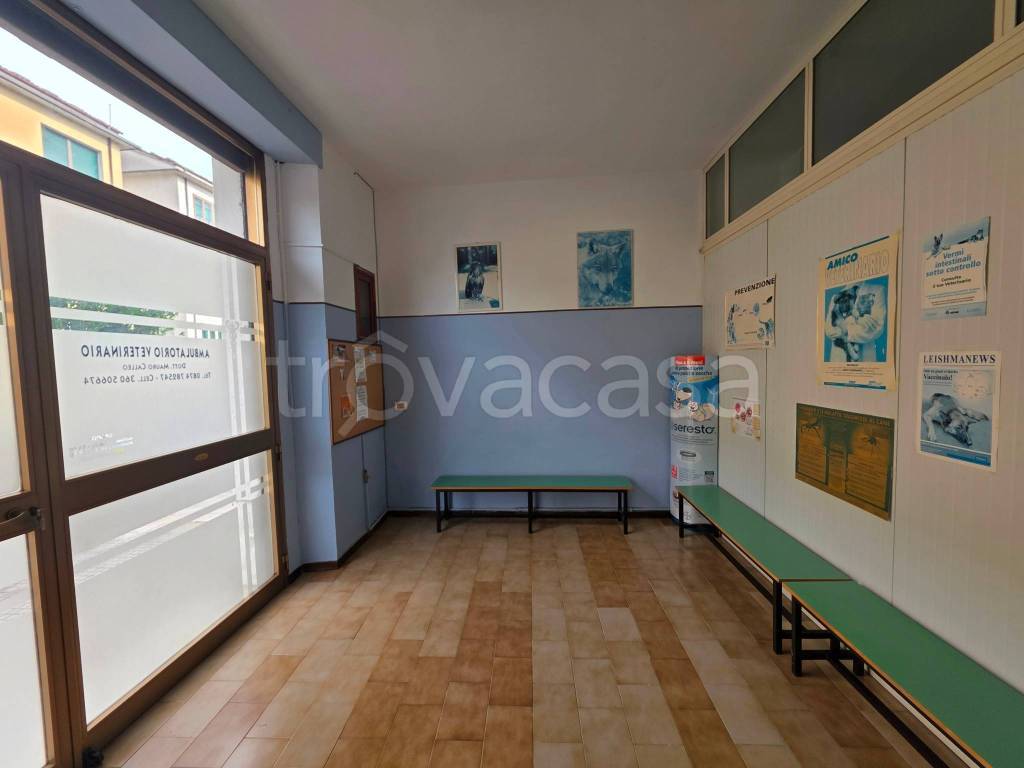immagine annuncio 1 di 14