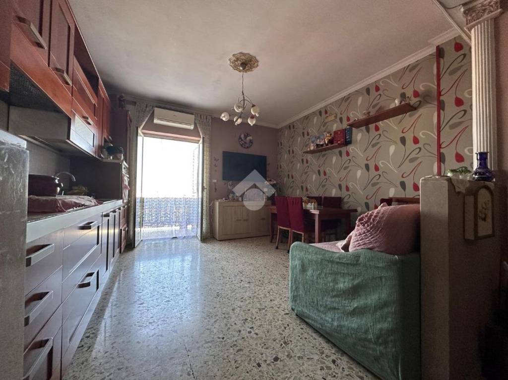 immagine annuncio 1 di 12