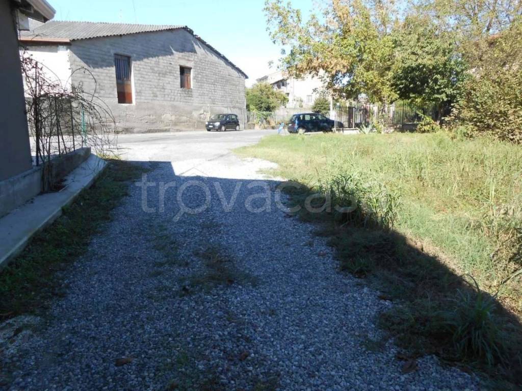 immagine annuncio 2 di 11
