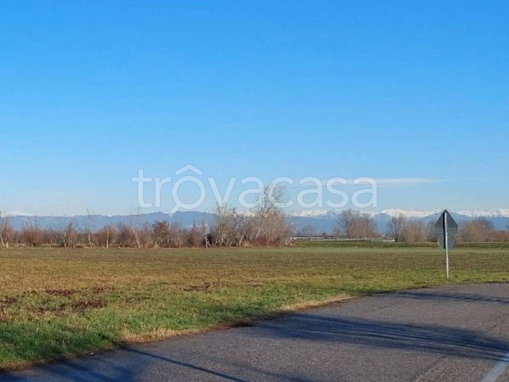 immagine annuncio 8 di 11