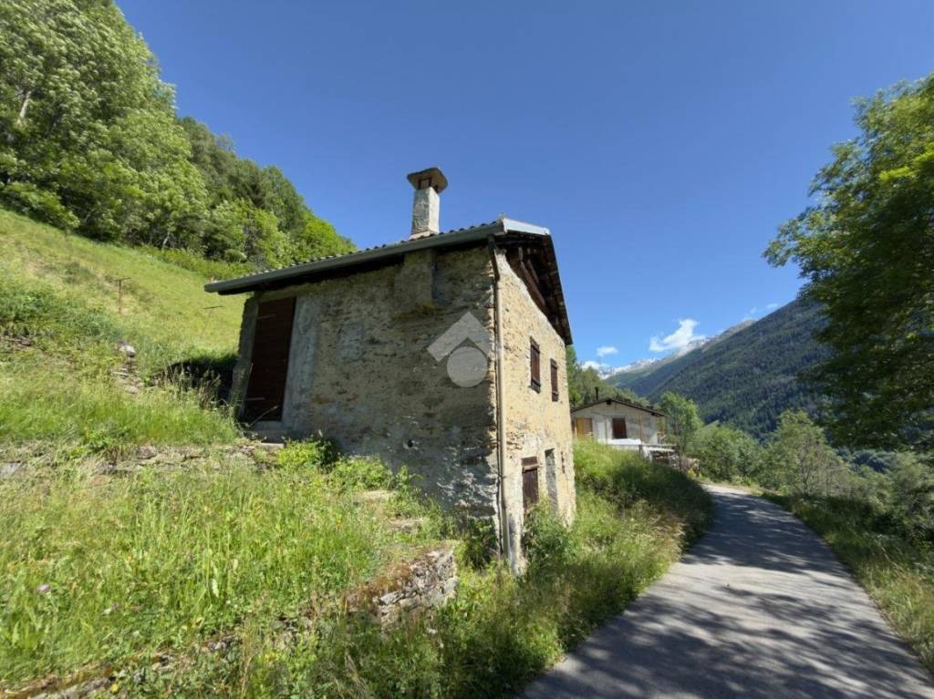 immagine annuncio 1 di 13