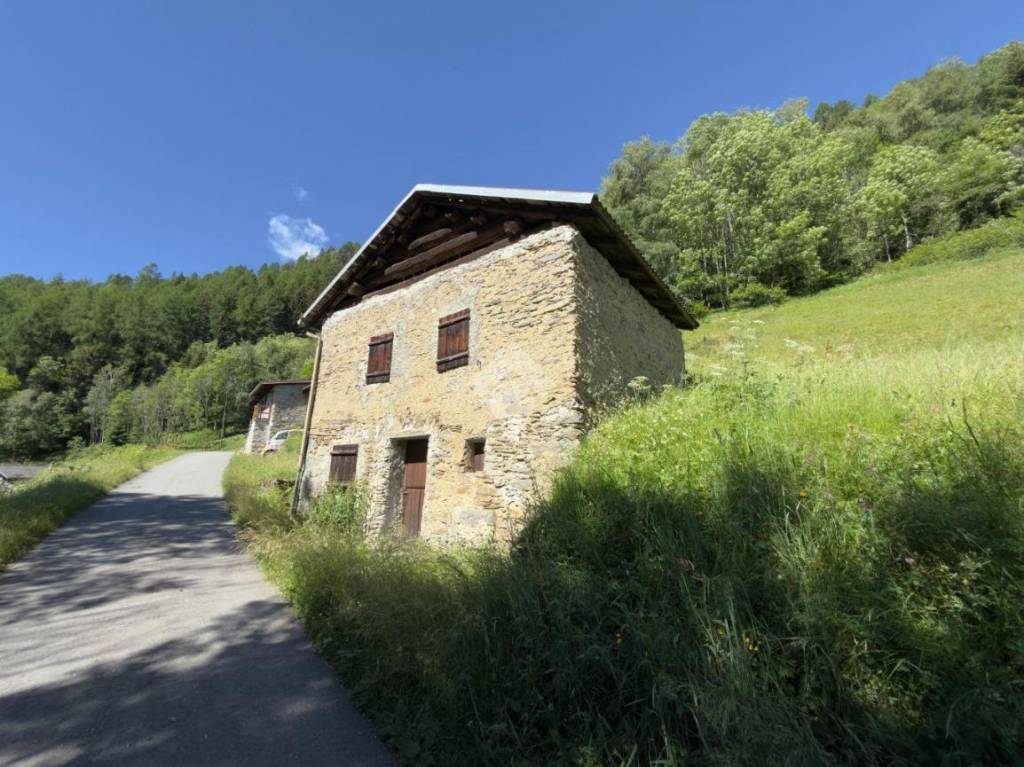 immagine annuncio 2 di 13