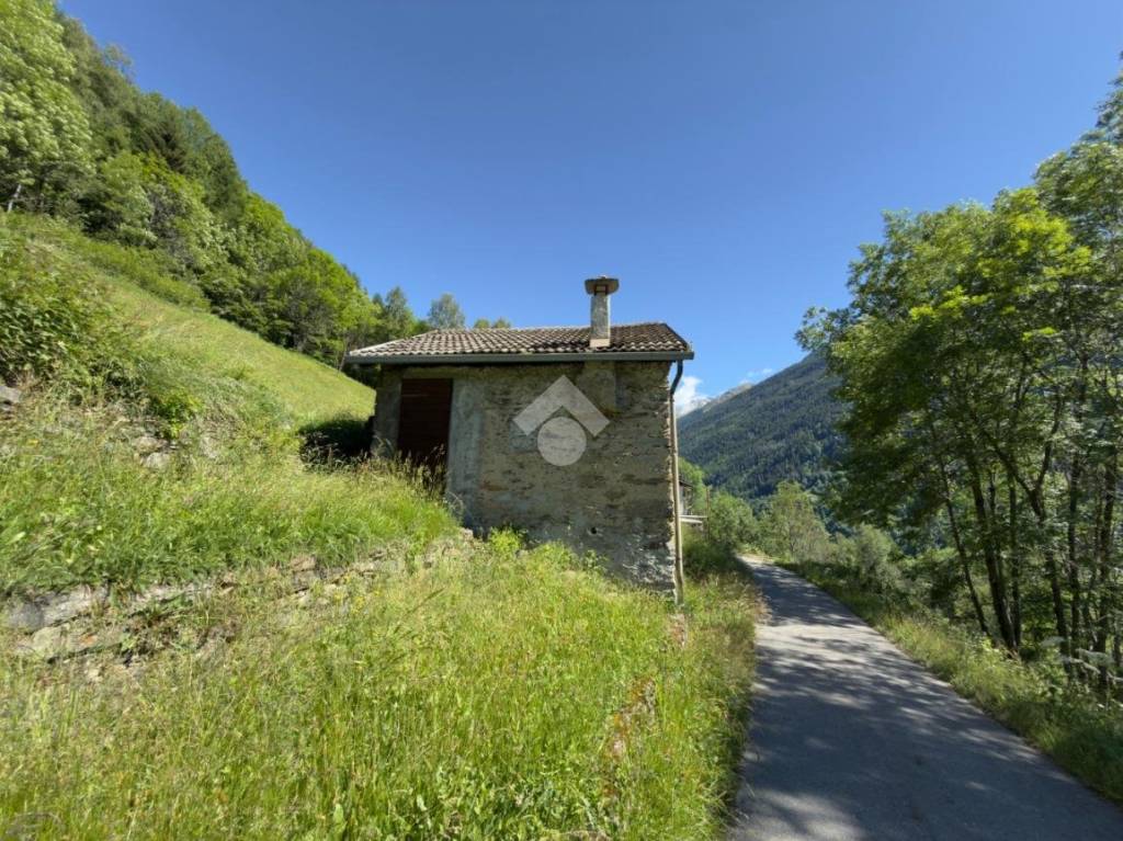 immagine annuncio 11 di 13