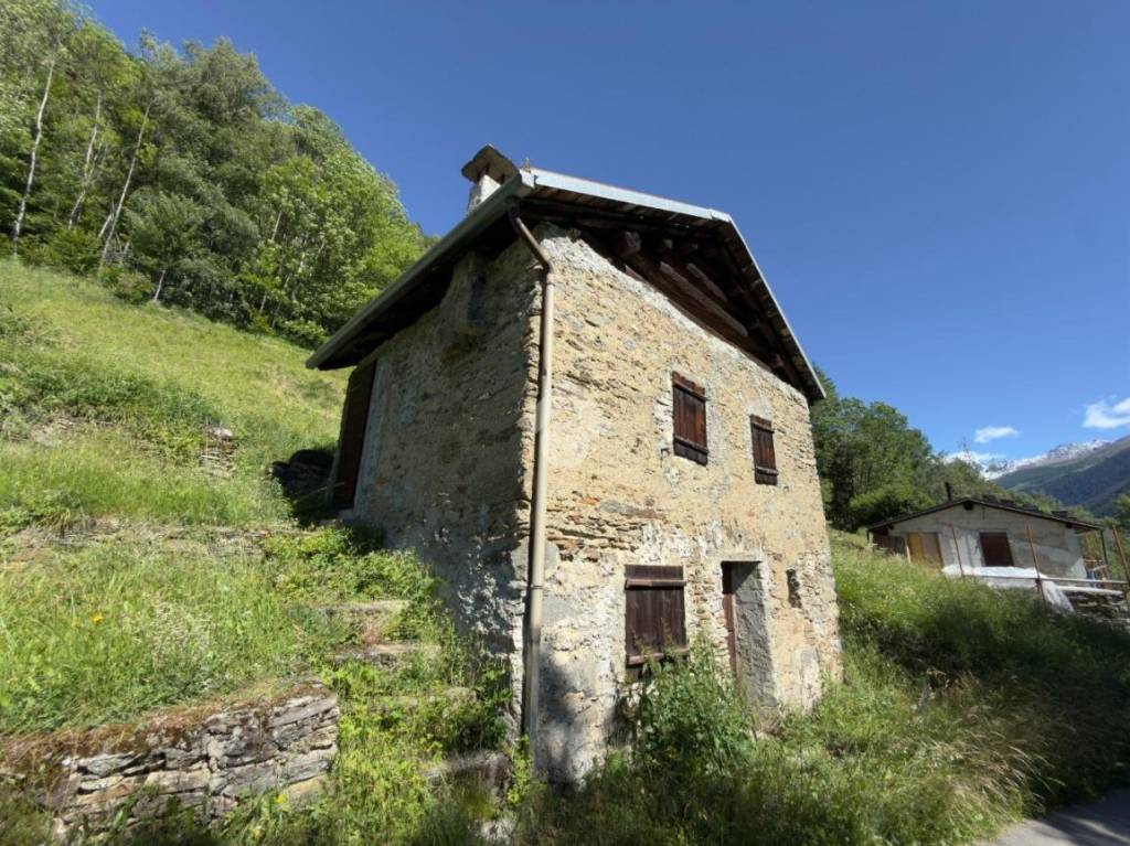 immagine annuncio 12 di 13