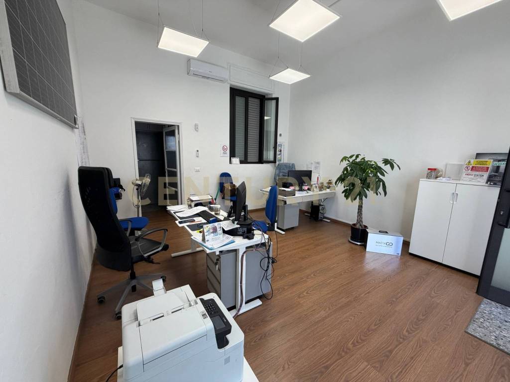 immagine annuncio 3 di 6
