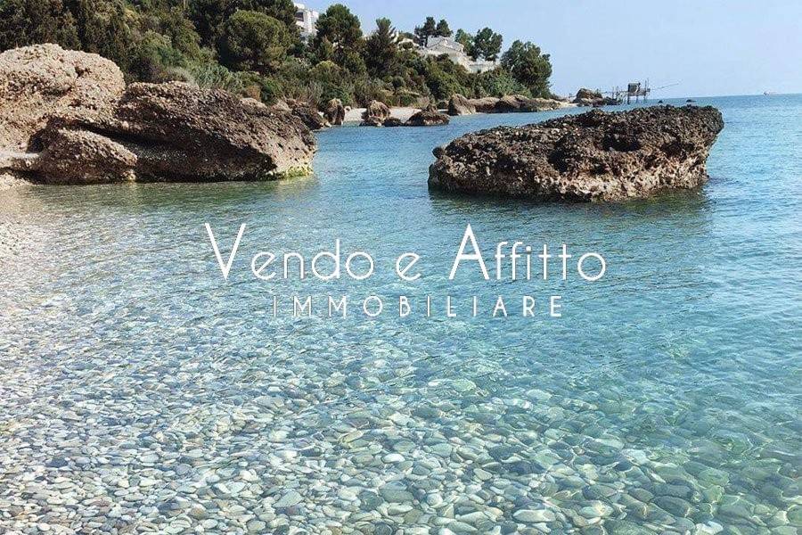 immagine annuncio 3 di 8