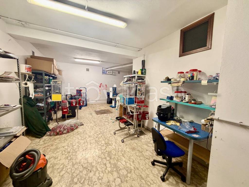 immagine annuncio 12 di 14