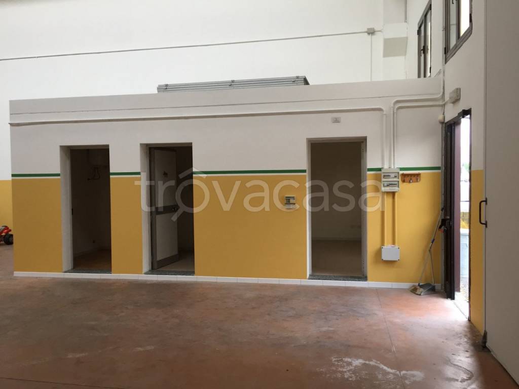 immagine annuncio 1 di 2
