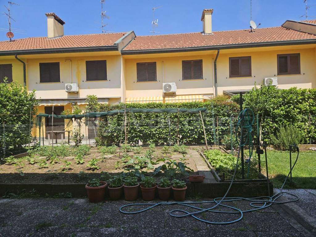 immagine annuncio 3 di 15
