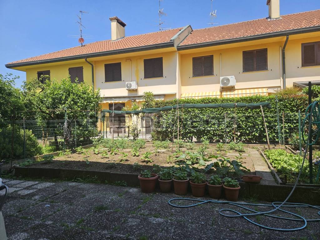 immagine annuncio 5 di 15