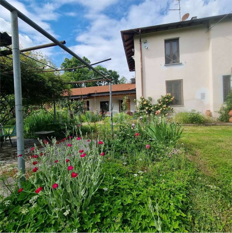 immagine annuncio 9 di 15
