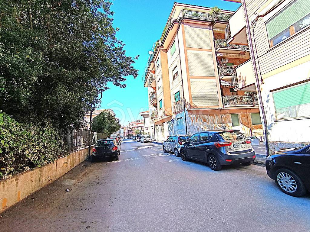 immagine annuncio 2 di 13
