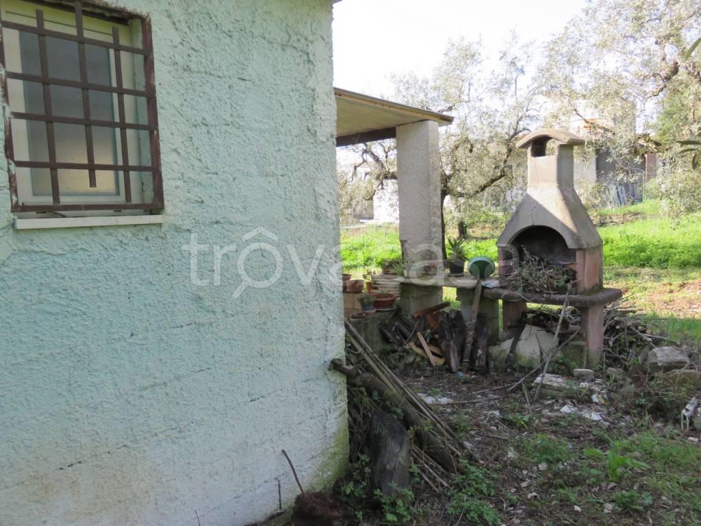 immagine annuncio 3 di 14