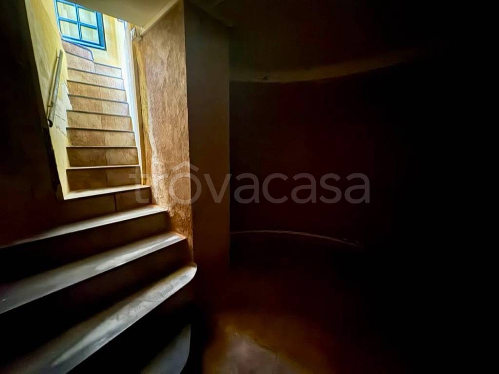 immagine annuncio 9 di 14