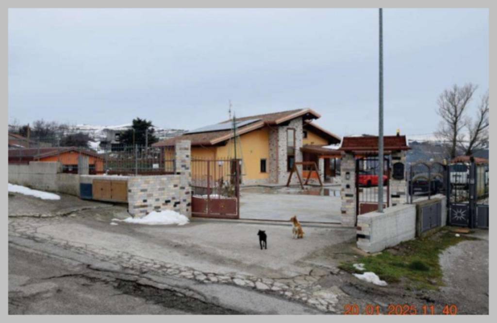 immagine annuncio 11 di 15