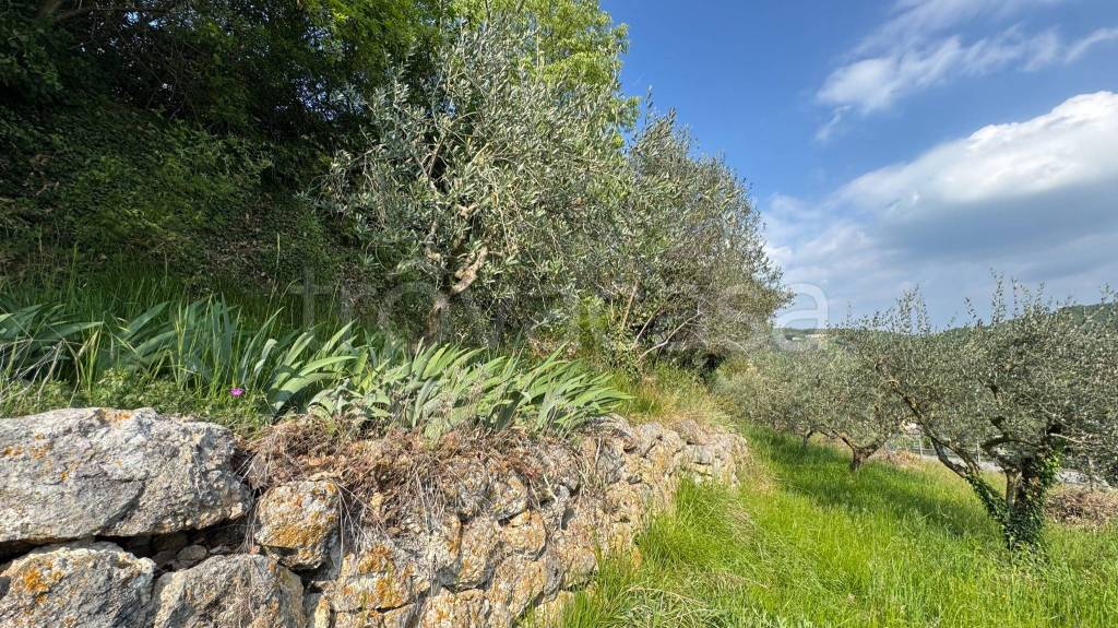 immagine annuncio 3 di 14