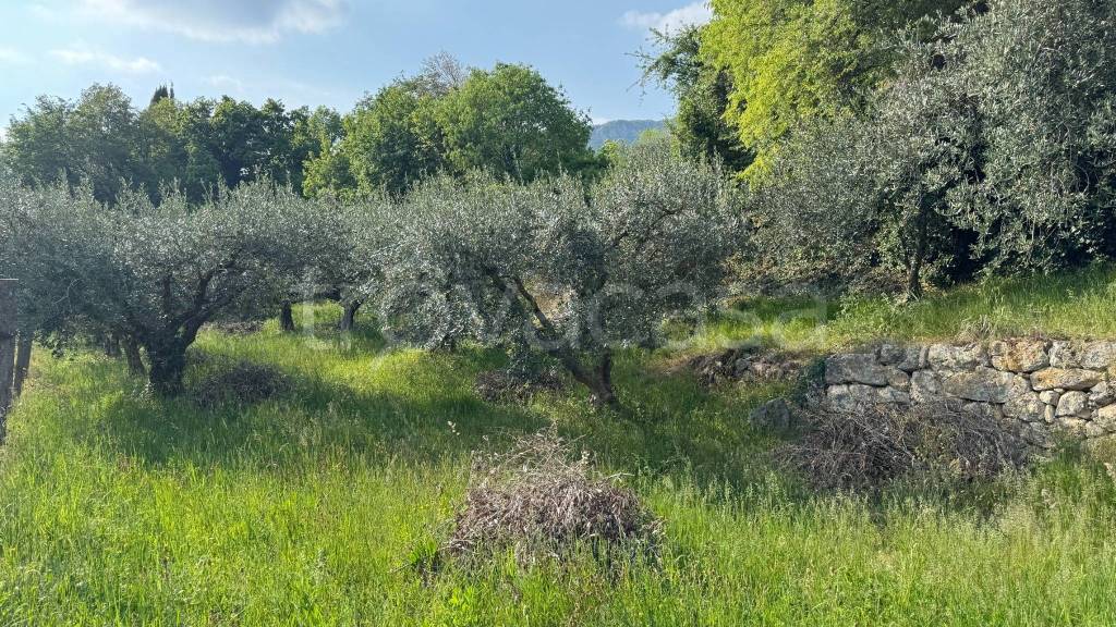 immagine annuncio 11 di 14