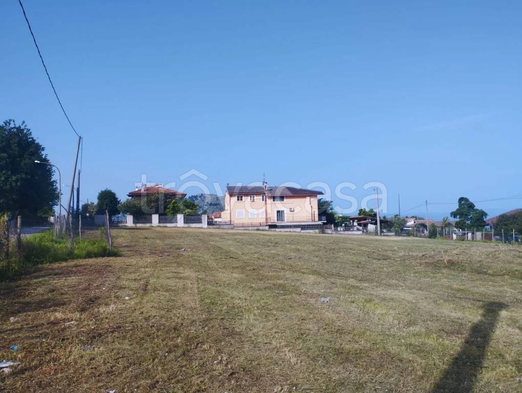 immagine annuncio 4 di 8