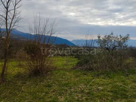 immagine annuncio 6 di 12