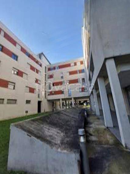 immagine annuncio 2 di 7