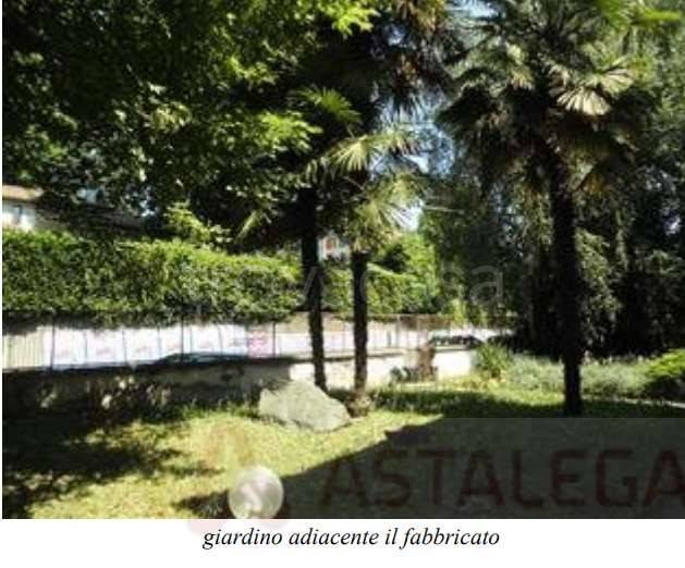 immagine annuncio 9 di 11