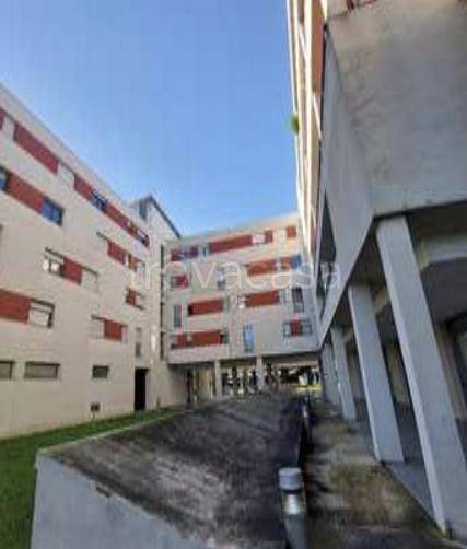 immagine annuncio 2 di 8
