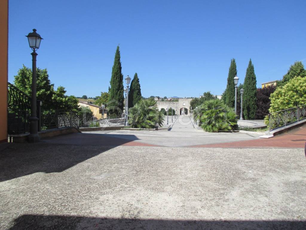 immagine annuncio 11 di 14
