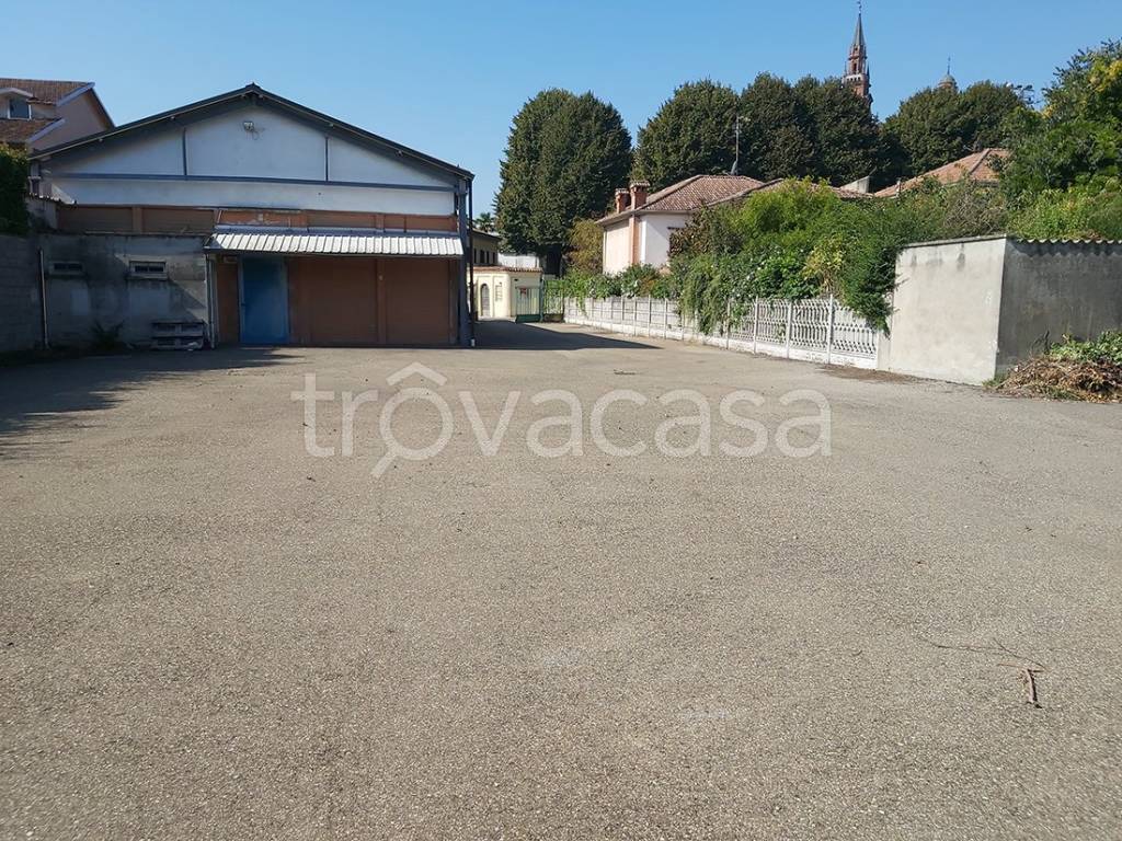immagine annuncio 1 di 14