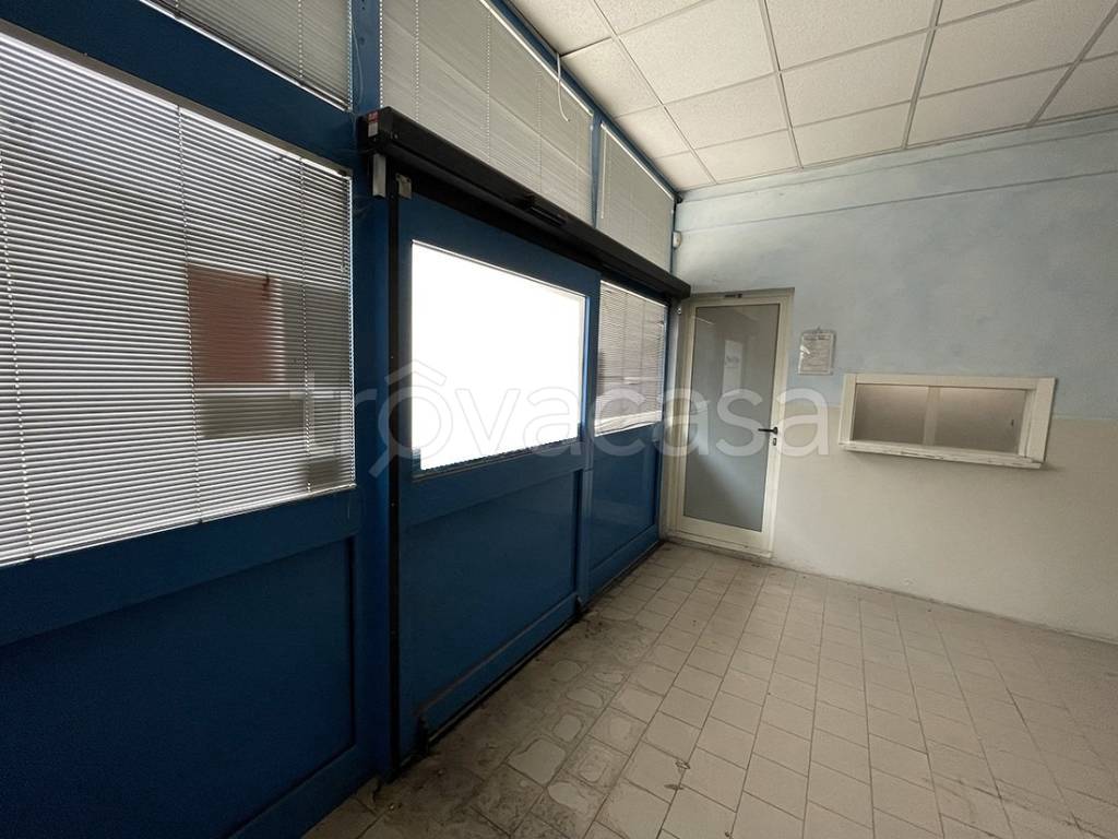 immagine annuncio 9 di 14