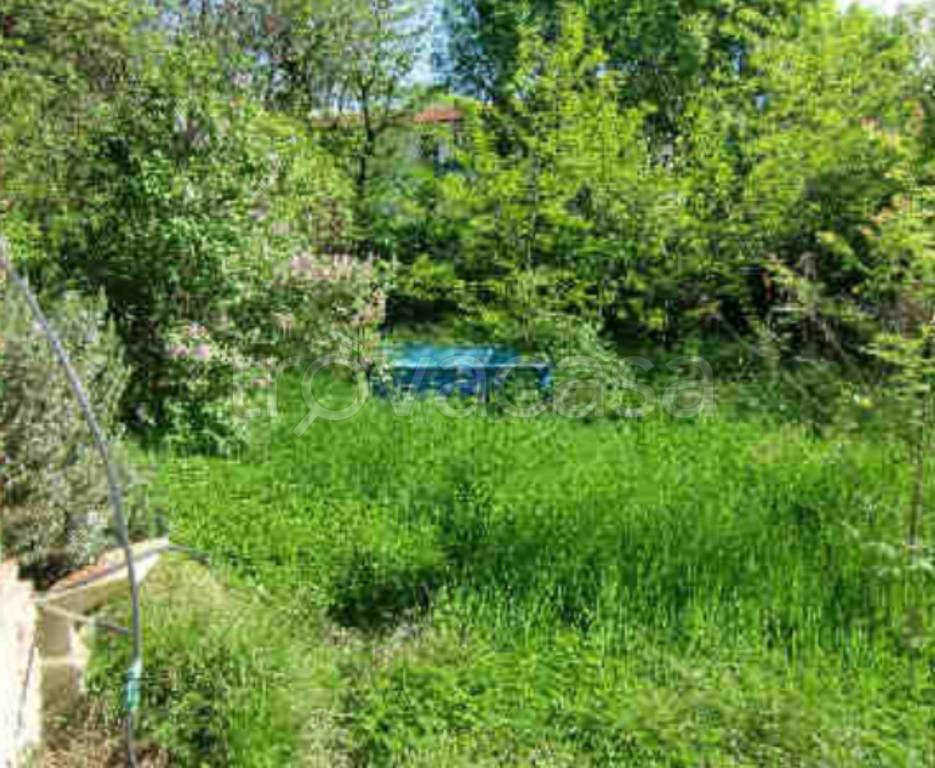 immagine annuncio 6 di 14