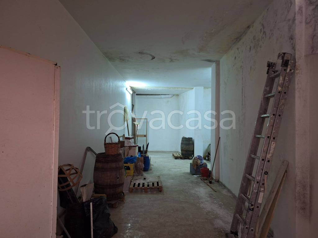 immagine annuncio 6 di 14