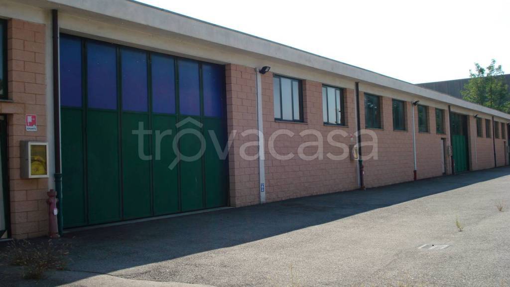 immagine annuncio 9 di 15