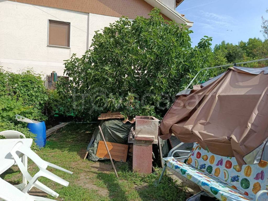 immagine annuncio 12 di 14