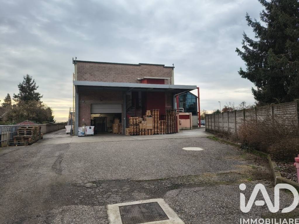 immagine annuncio 5 di 15