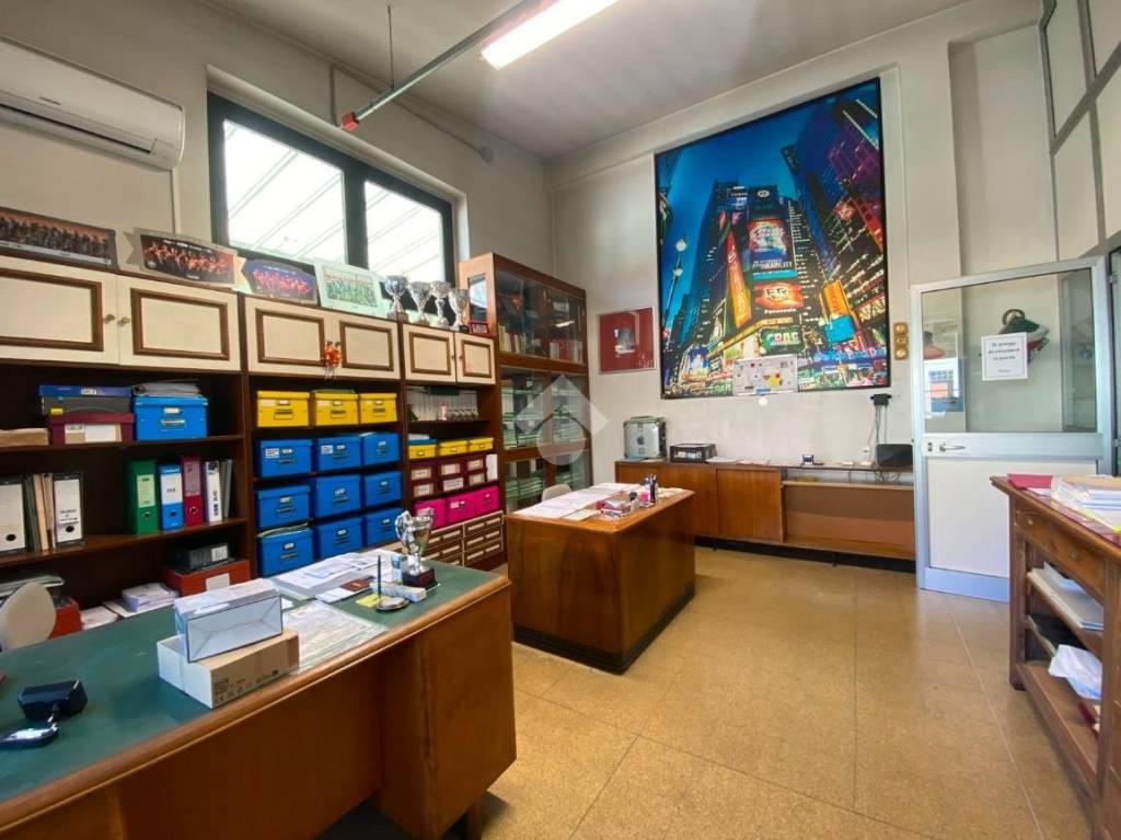 immagine annuncio 12 di 14