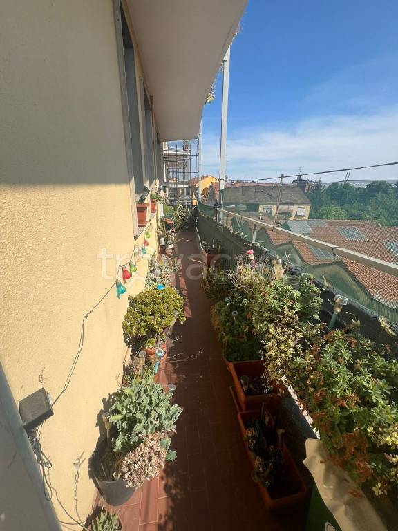 immagine annuncio 6 di 13