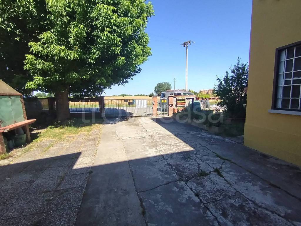 immagine annuncio 11 di 14
