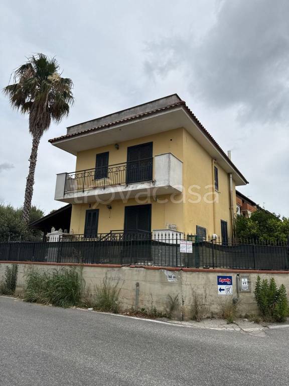 immagine annuncio 1 di 6