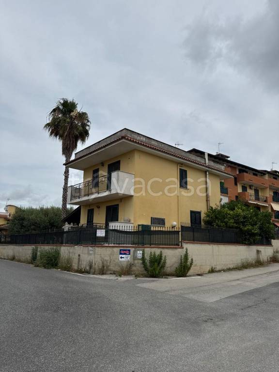 immagine annuncio 3 di 6