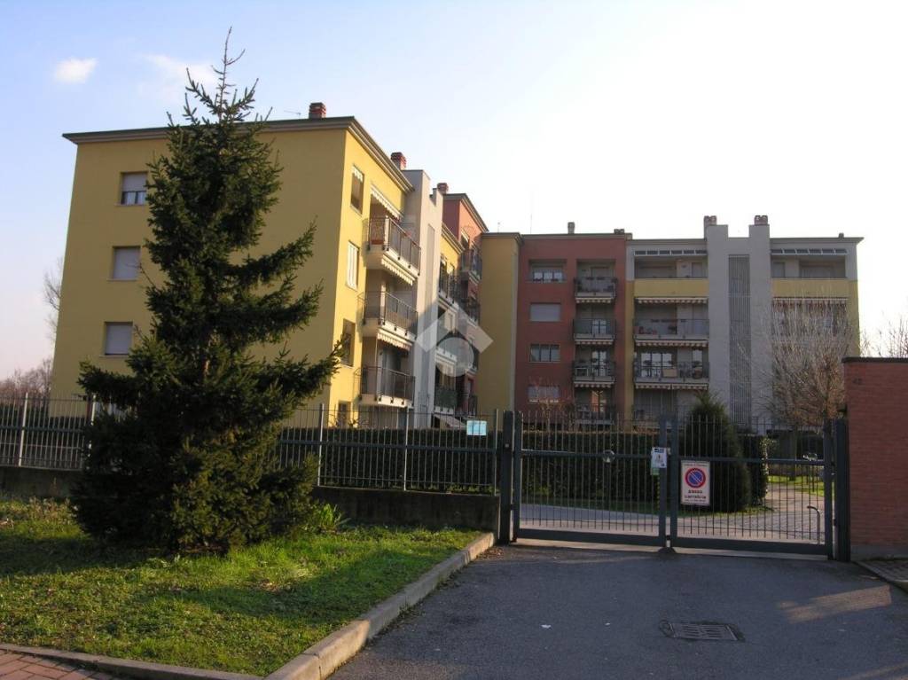 immagine annuncio 2 di 4