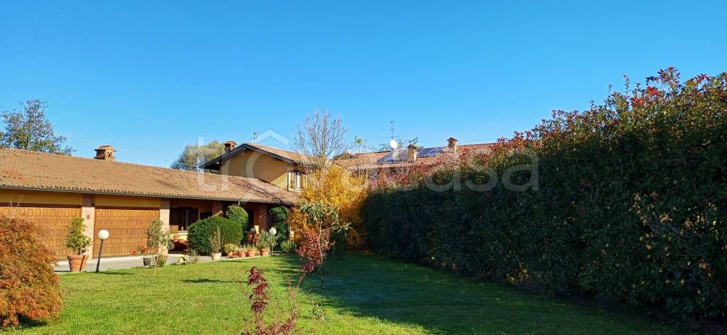 immagine annuncio 11 di 15