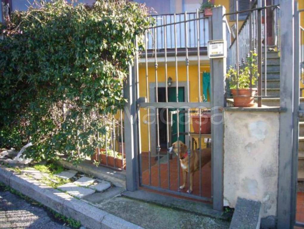 immagine annuncio 4 di 15